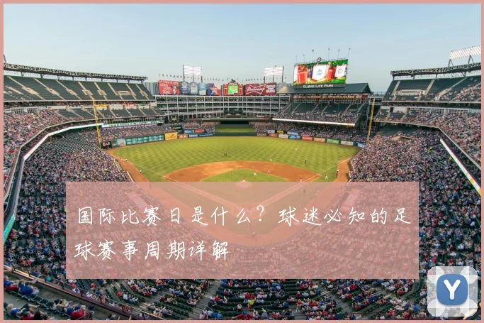 国际比赛日是什么？球迷必知的足球赛事周期详解