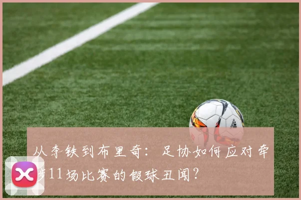 从李铁到布里奇：足协如何应对牵涉11场比赛的假球丑闻？
