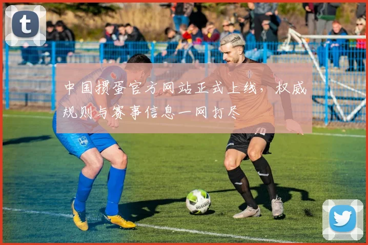 中国掼蛋官方网站正式上线，权威规则与赛事信息一网打尽