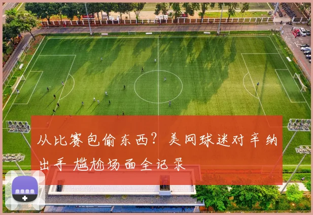 从比赛包偷东西？美网球迷对辛纳出手 尴尬场面全记录